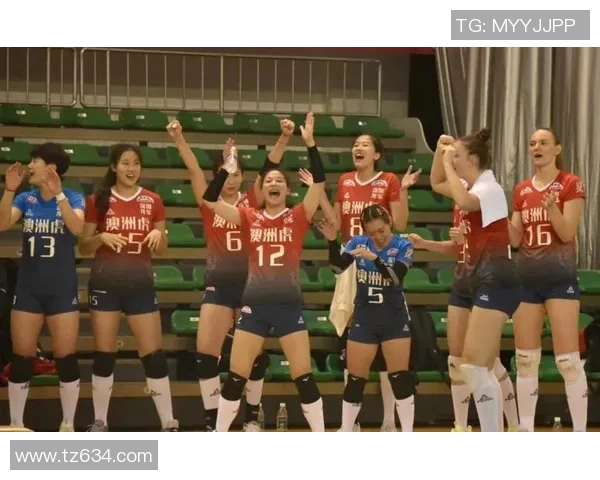 深圳排球队的实力解析与未来发展展望探讨