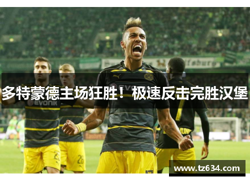 多特蒙德主场狂胜！极速反击完胜汉堡