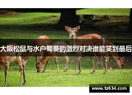 大阪松鼠与水户蜀葵的激烈对决谁能笑到最后