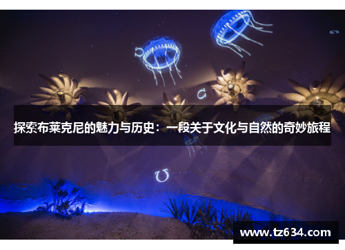 探索布莱克尼的魅力与历史：一段关于文化与自然的奇妙旅程